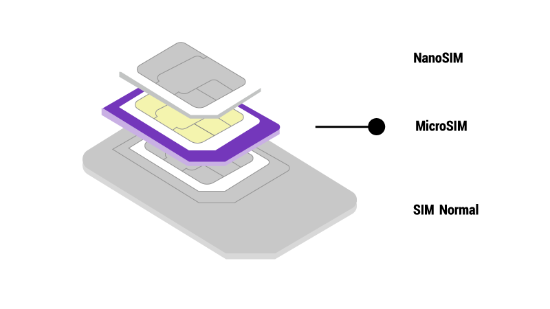 MicroSIM.png