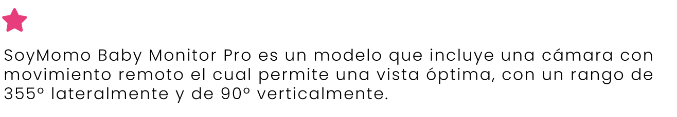 Vigilabebés--caracteri_sticas-.jpg